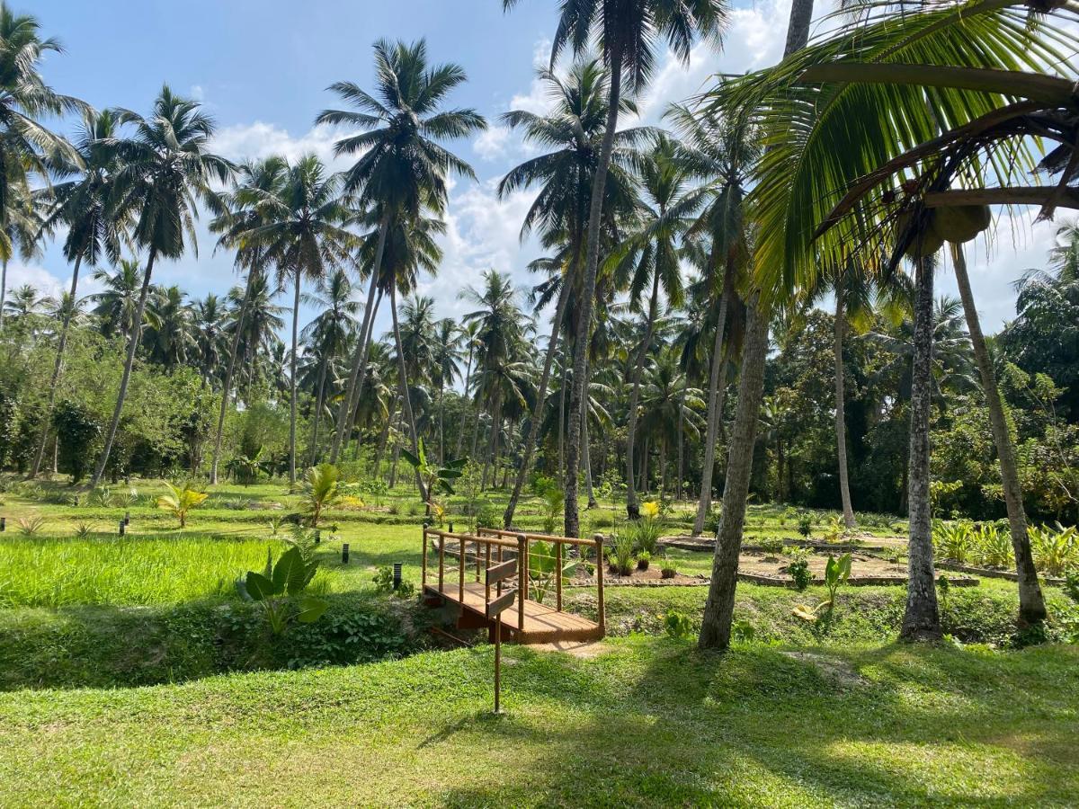 Ambarella Lodge - Katunayake Hunumulla Dış mekan fotoğraf